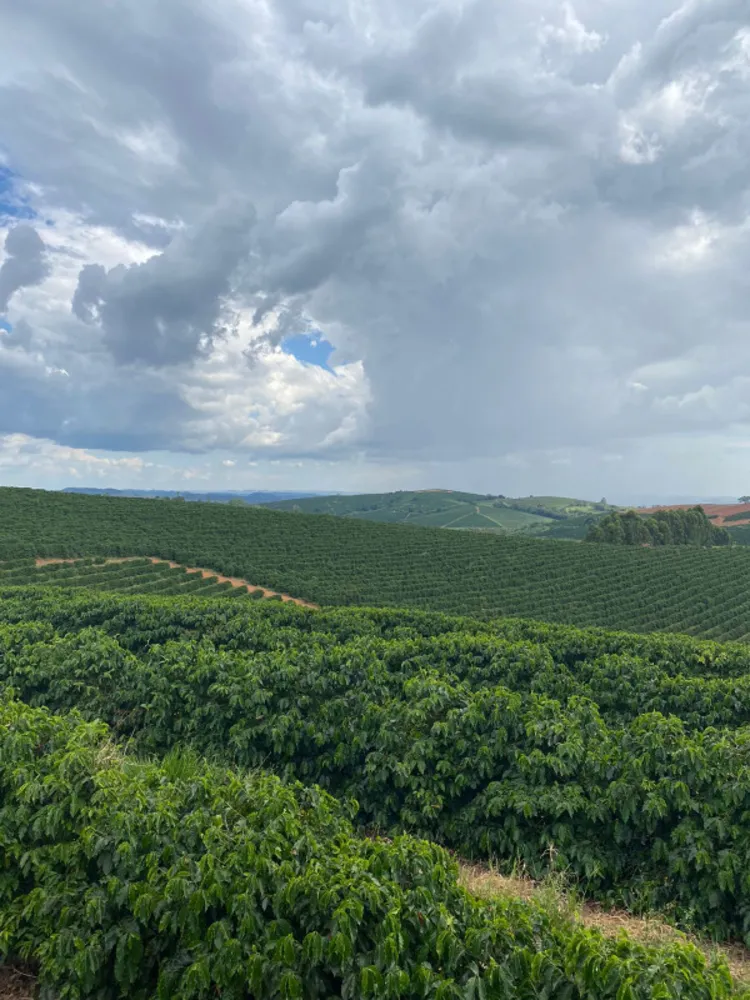 Fazenda, 166 hectares - Foto 3