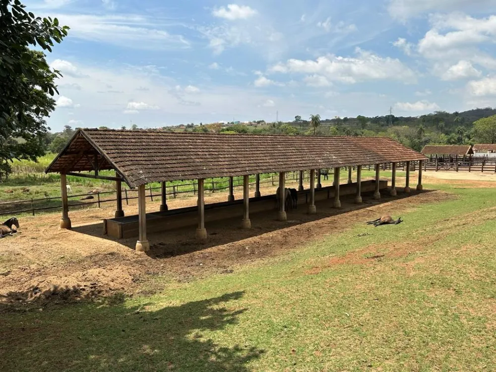 Fazenda, 4 quartos - Foto 8