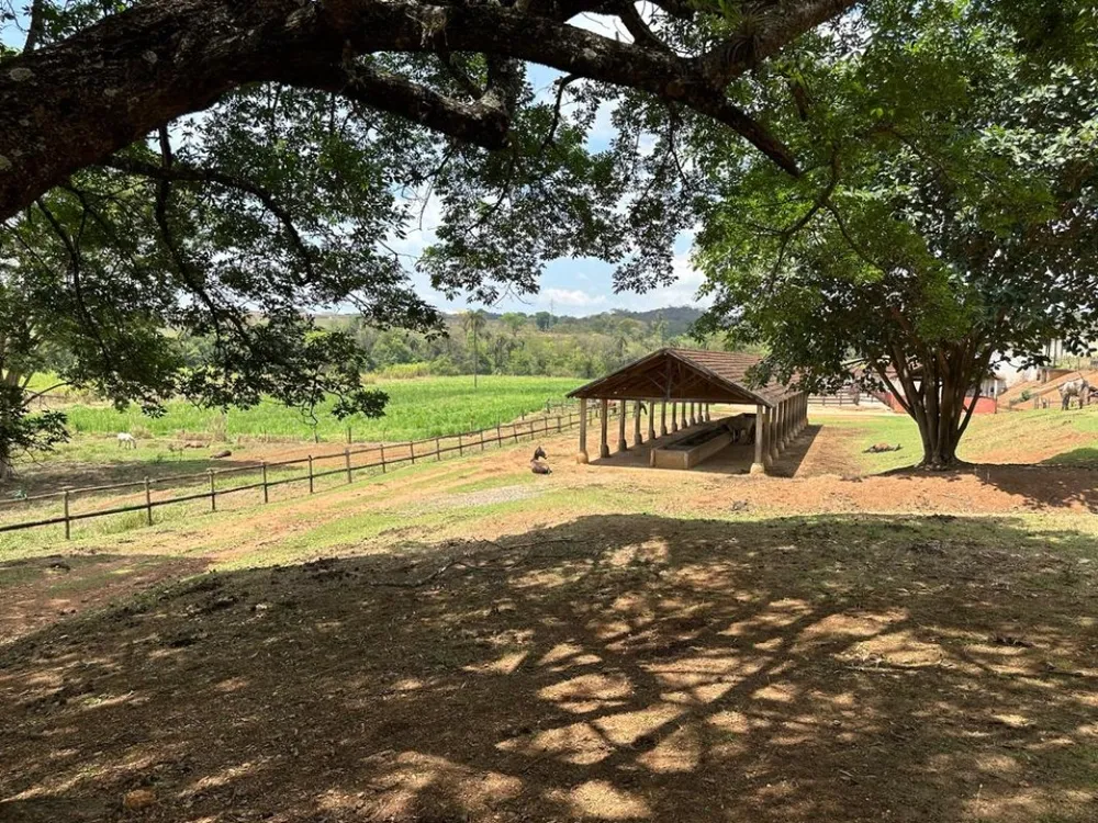 Fazenda, 4 quartos - Foto 7