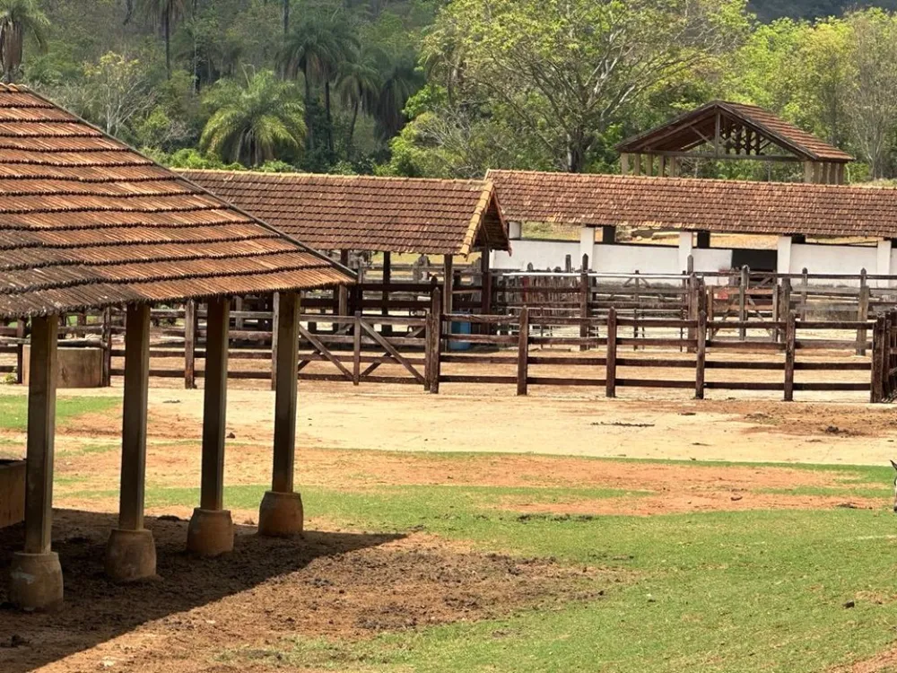 Fazenda, 4 quartos - Foto 8