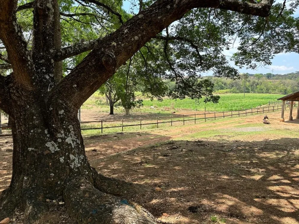 Fazenda, 4 quartos - Foto 5