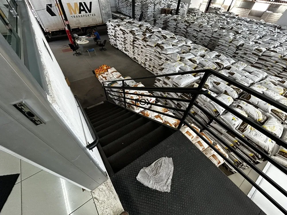 Depósito-Galpão, 1000 m² - Foto 6