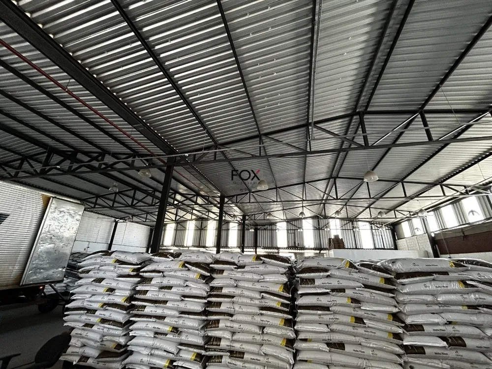 Depósito-Galpão, 1000 m² - Foto 3