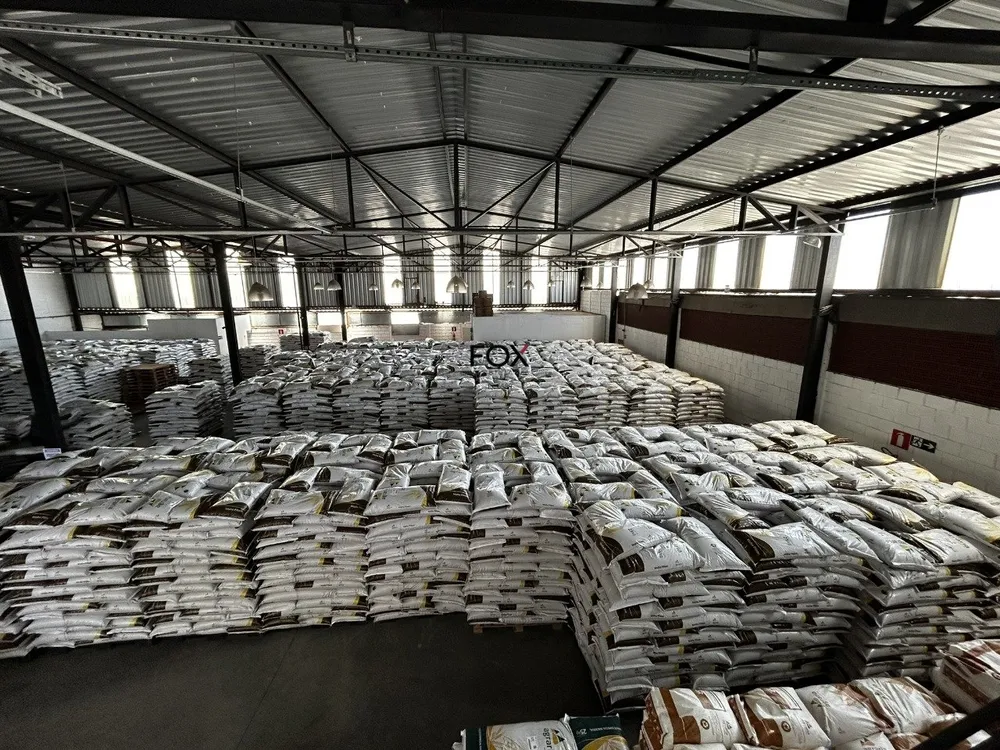 Depósito-Galpão, 1000 m² - Foto 1