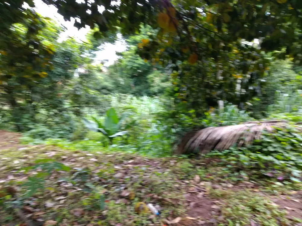 Terreno, 500 m² - Foto 4