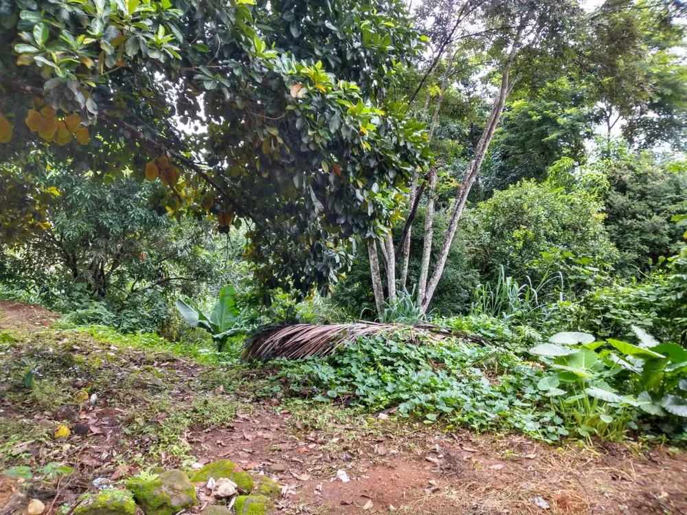 Terreno, 500 m² - Foto 3