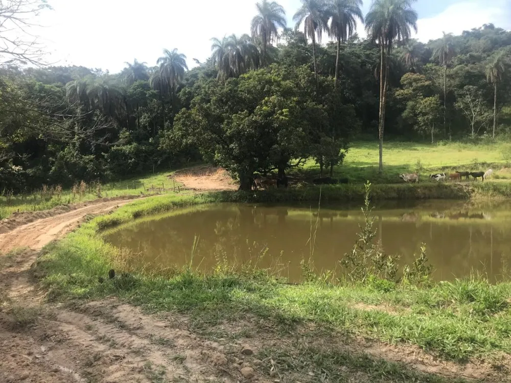 Terreno, 25 hectares - Foto 10