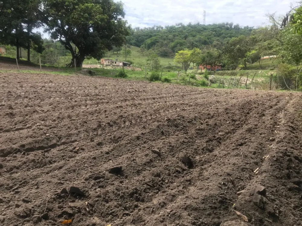 Terreno, 25 hectares - Foto 3