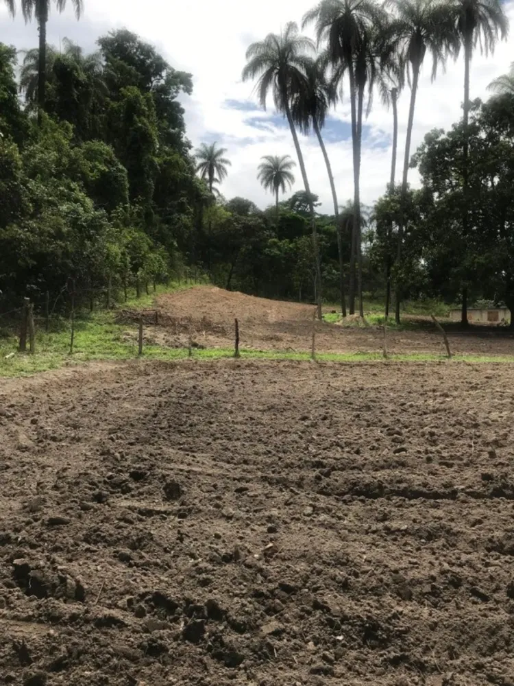 Terreno, 25 hectares - Foto 4
