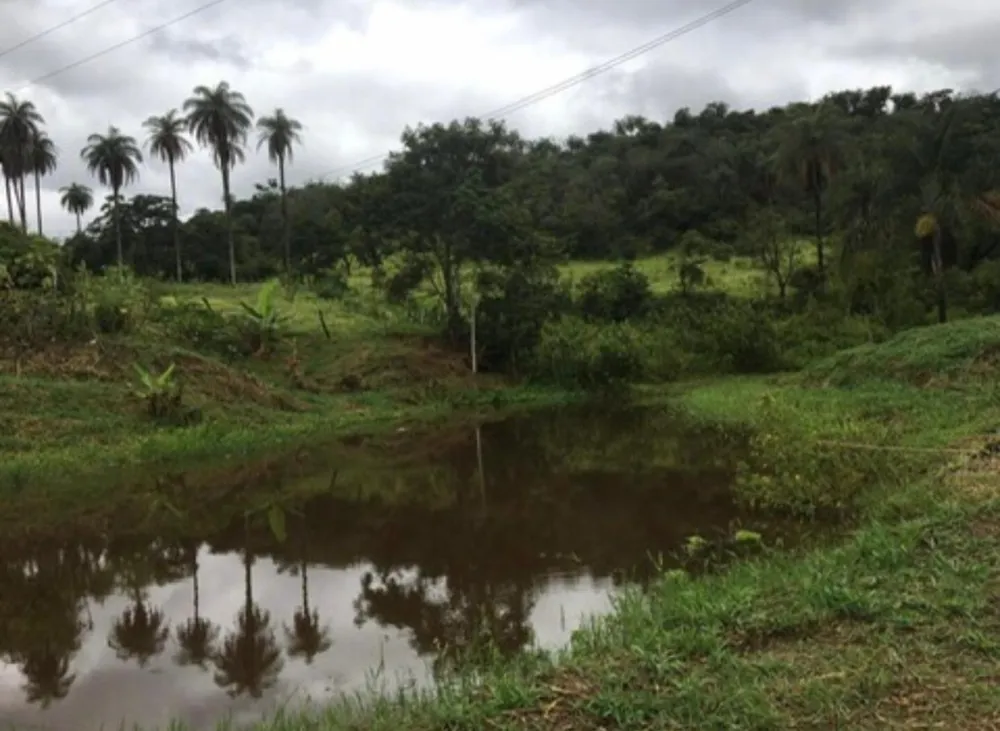 Terreno, 25 hectares - Foto 18