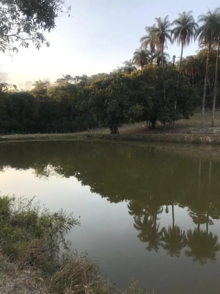 Terreno, 25 hectares - Foto 10