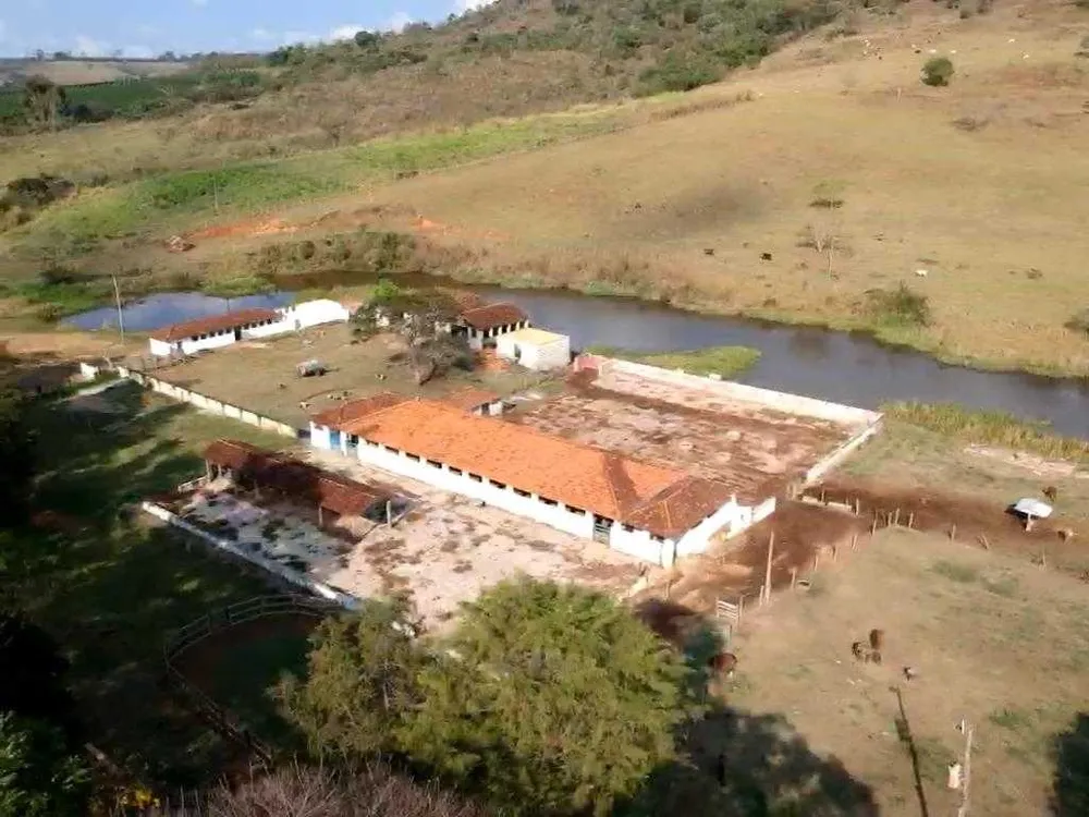 Fazenda, 318 hectares - Foto 11