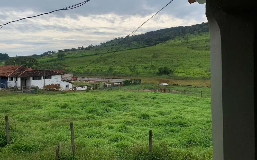 Fazenda, 318 hectares - Foto 6