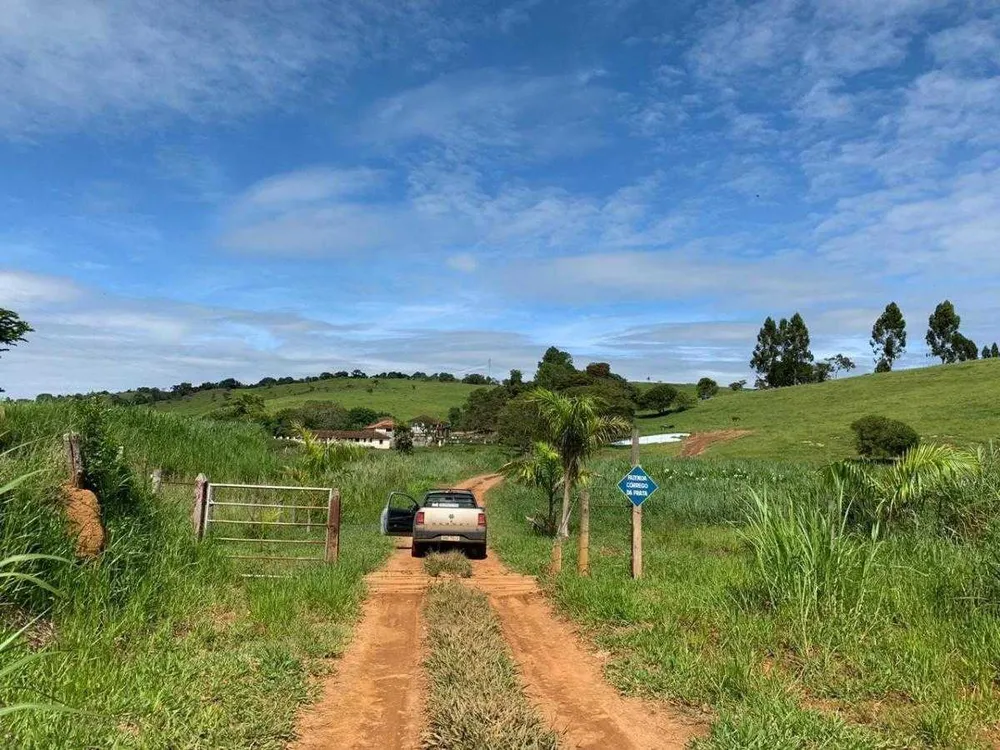 Fazenda, 318 hectares - Foto 5