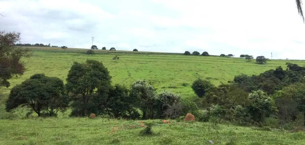 Fazenda, 318 hectares - Foto 2