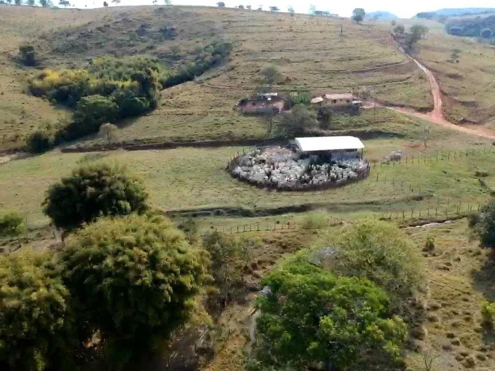 Fazenda, 318 hectares - Foto 4