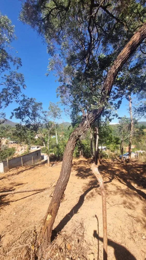 Chácara, 1 quarto - Foto 4