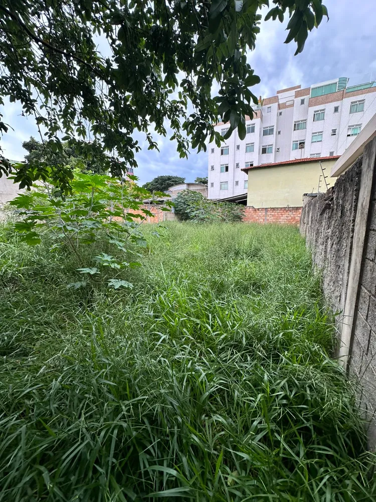 Terreno, 362 m² - Foto 4