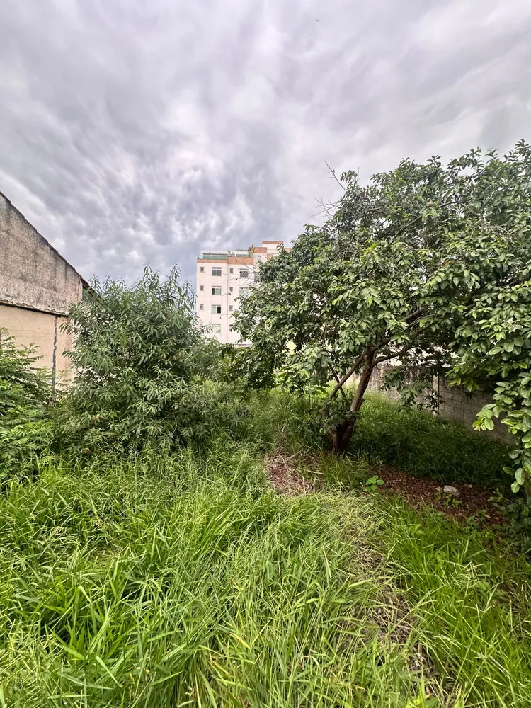 Terreno, 362 m² - Foto 5