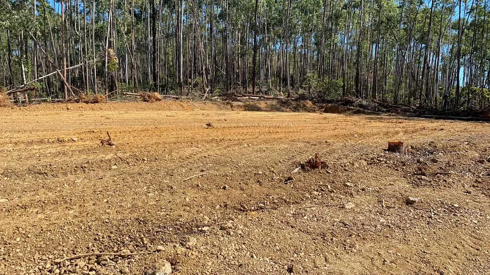 Terreno à venda, 1000m² - Foto 3