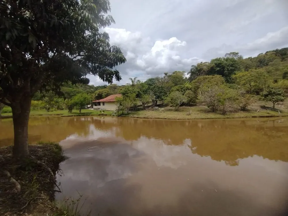 Chácara, 4 quartos - Foto 4