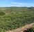 Fazenda, 3 quartos - Foto 3