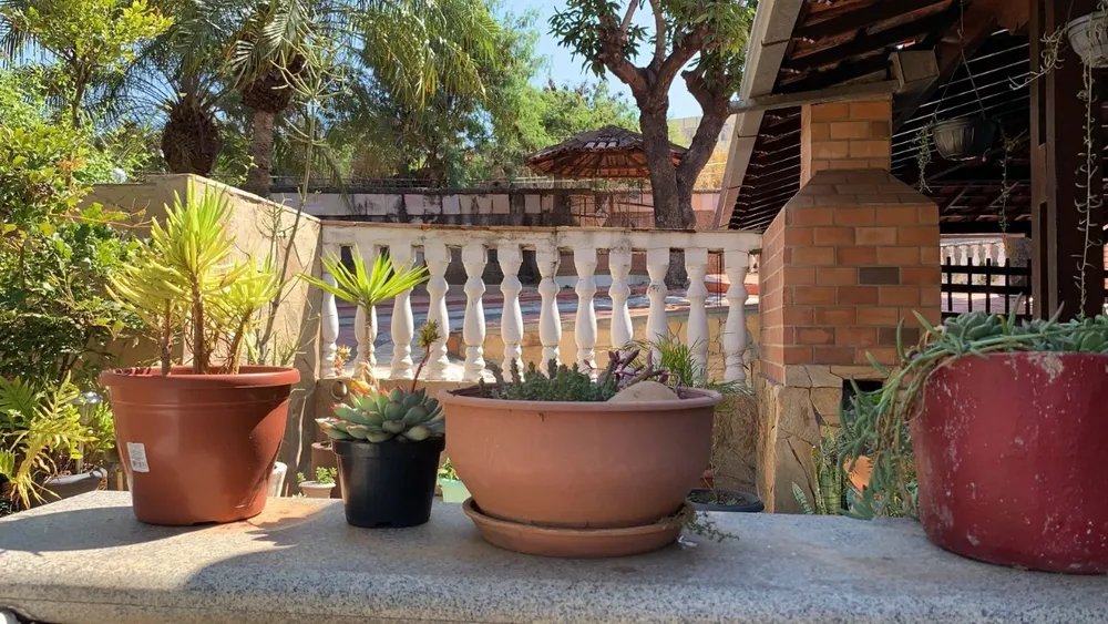 Casa, 4 quartos, 235 m² - Foto 12