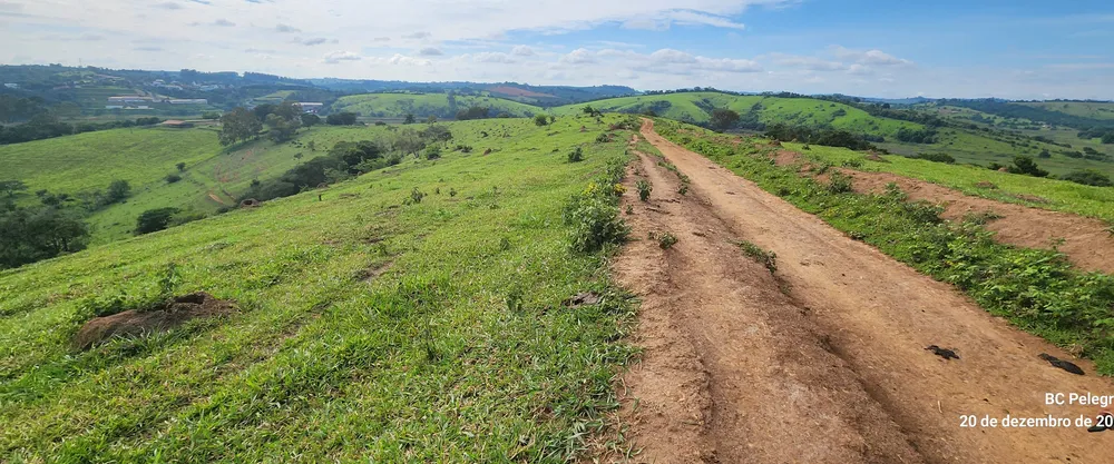 Fazenda, 134 hectares - Foto 11