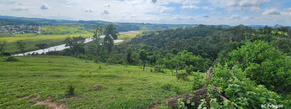 Fazenda, 134 hectares - Foto 3