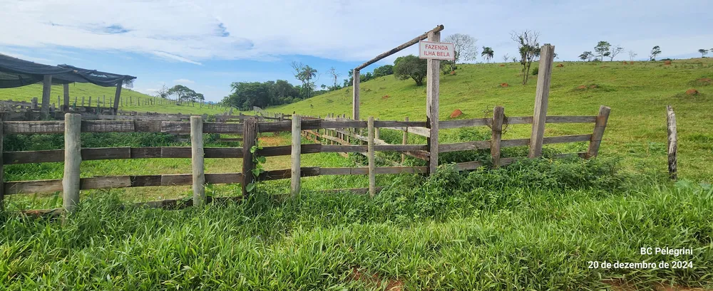 Fazenda, 134 hectares - Foto 4