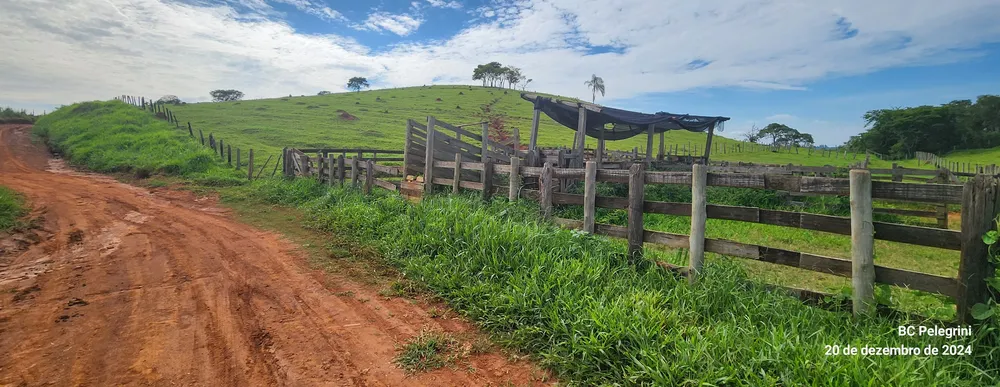 Fazenda, 134 hectares - Foto 15