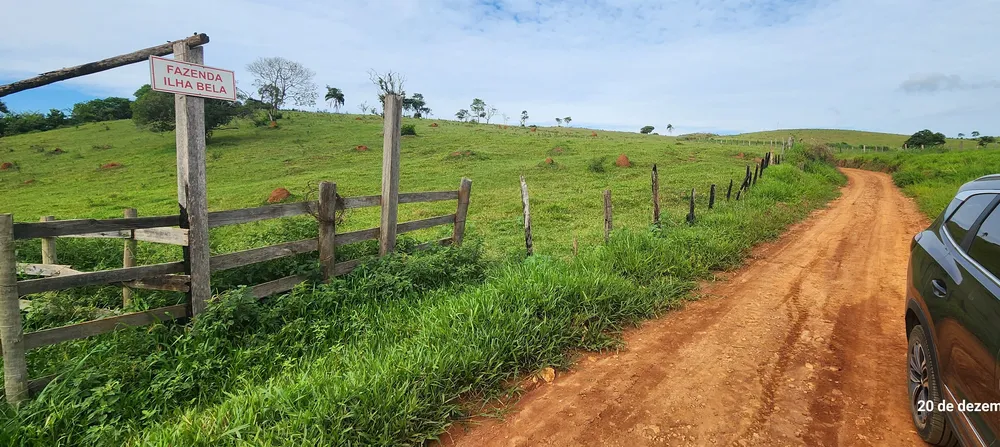 Fazenda, 134 hectares - Foto 6
