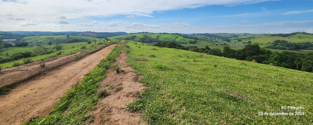 Fazenda, 134 hectares - Foto 3