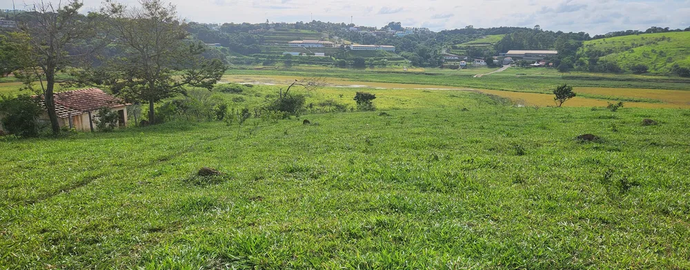 Fazenda, 134 hectares - Foto 8
