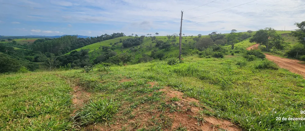 Fazenda, 134 hectares - Foto 7