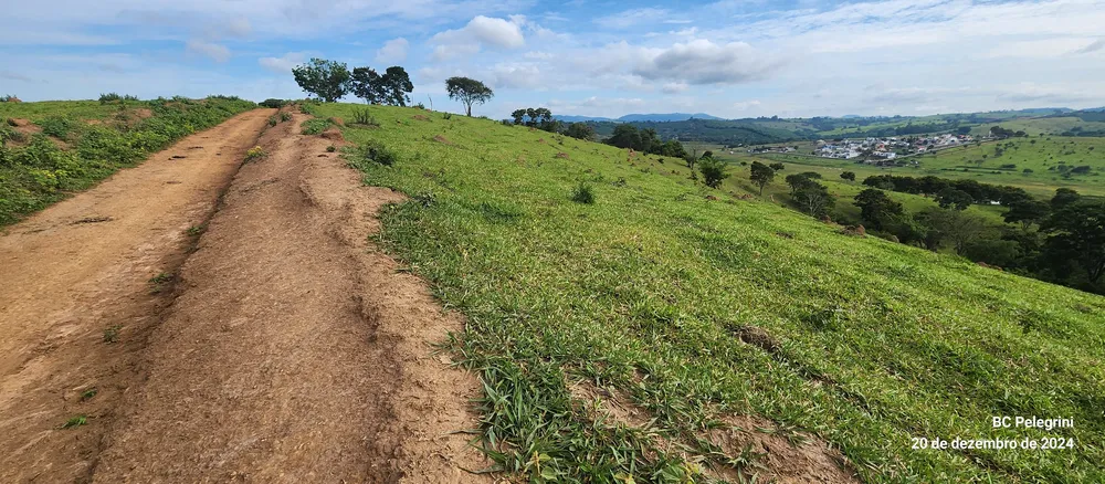 Fazenda, 134 hectares - Foto 12