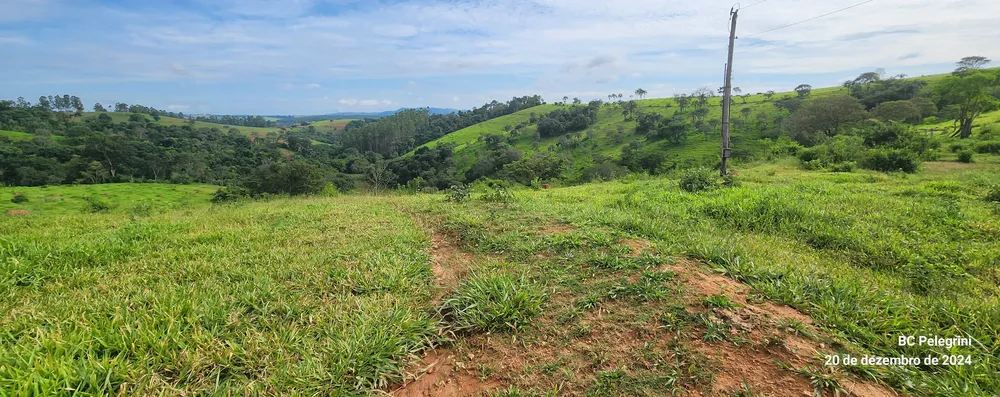Fazenda, 134 hectares - Foto 6