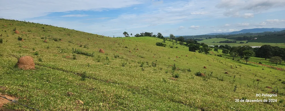 Fazenda, 134 hectares - Foto 8