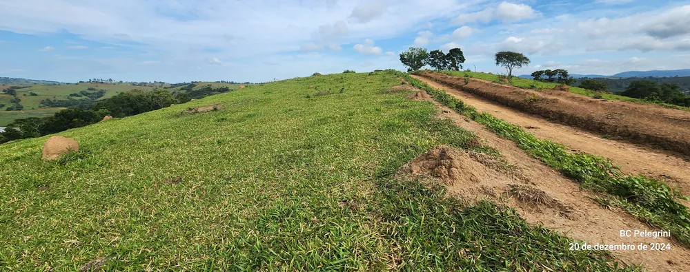 Fazenda, 134 hectares - Foto 10
