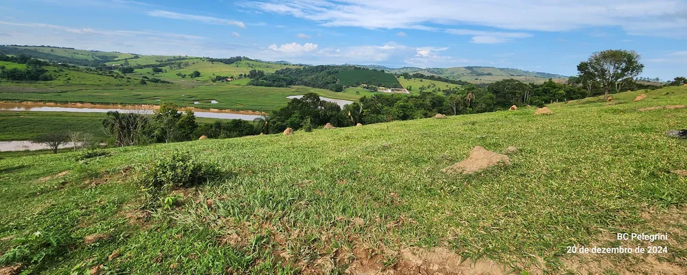 Fazenda, 134 hectares - Foto 17