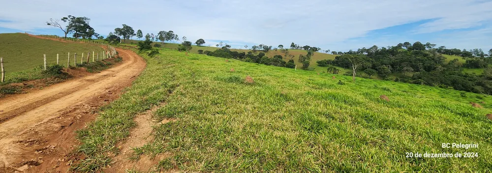Fazenda, 134 hectares - Foto 9