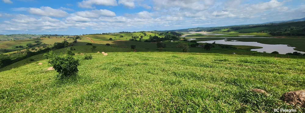 Fazenda, 134 hectares - Foto 2