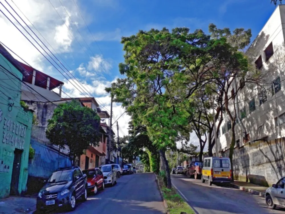 Terreno, 360 m² - Foto 4
