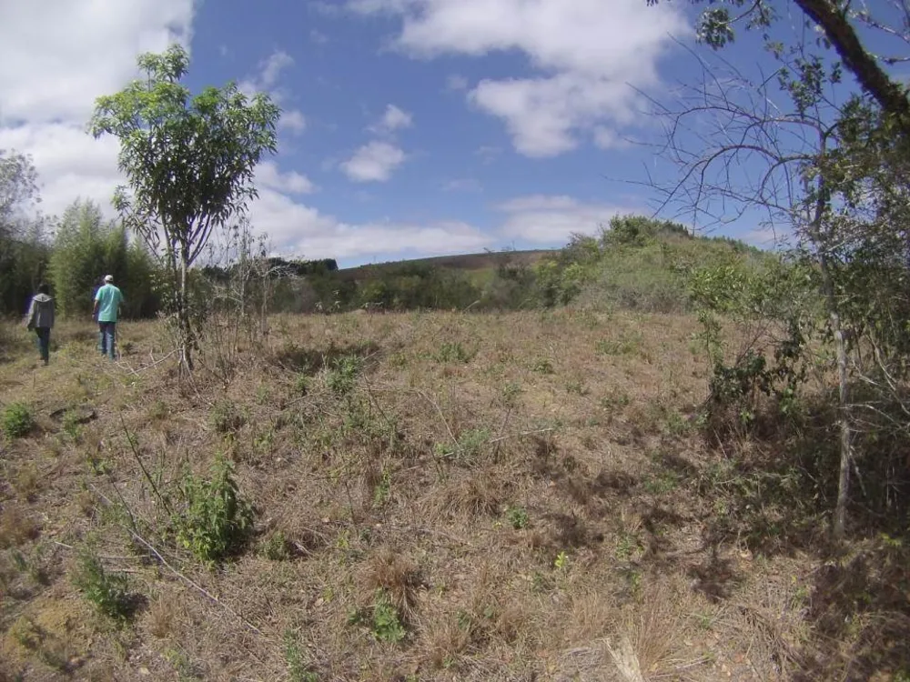 Fazenda, 45 hectares - Foto 18