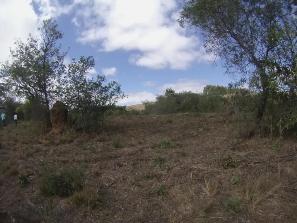 Fazenda, 45 hectares - Foto 6