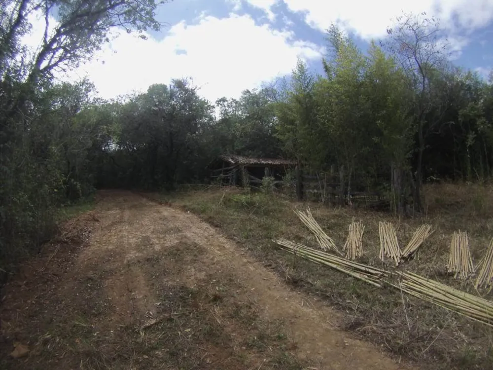 Fazenda, 45 hectares - Foto 7