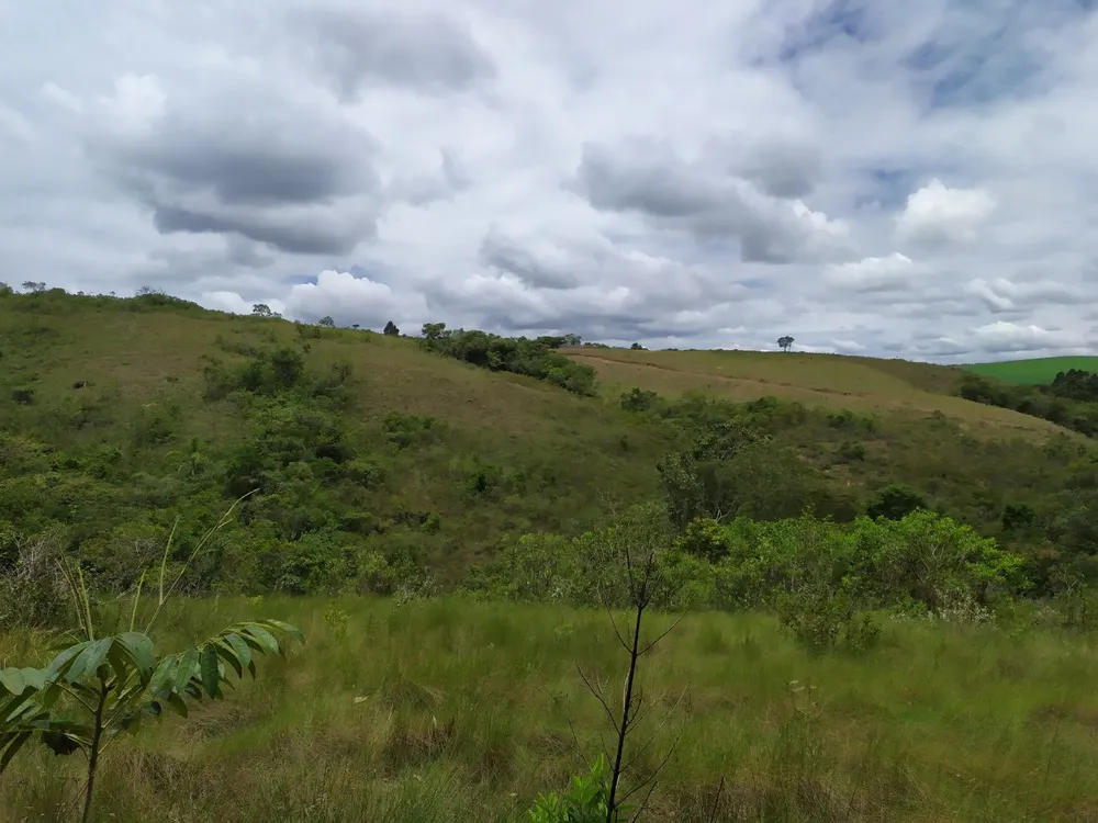 Fazenda, 45 hectares - Foto 8