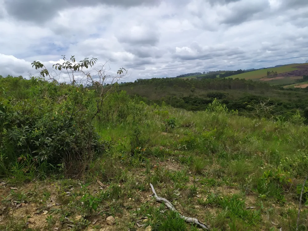 Fazenda, 45 hectares - Foto 14