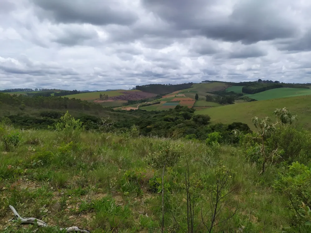 Fazenda, 45 hectares - Foto 11