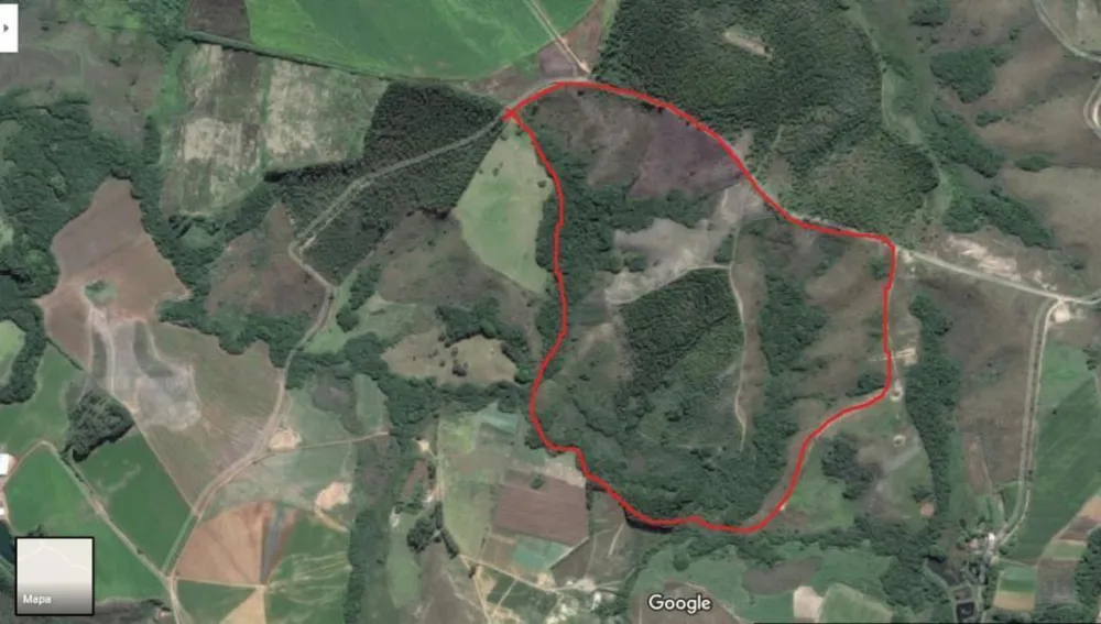 Fazenda, 45 hectares - Foto 4
